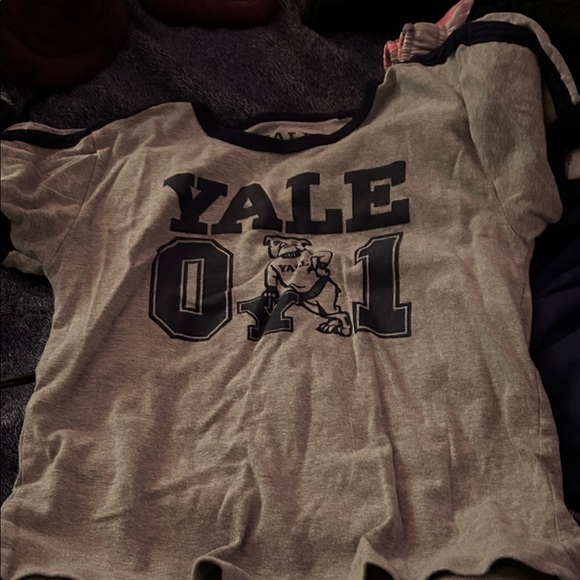 PacSun Tops - PacSun Gray Yale Graphic Ringer Tee with Navy Print